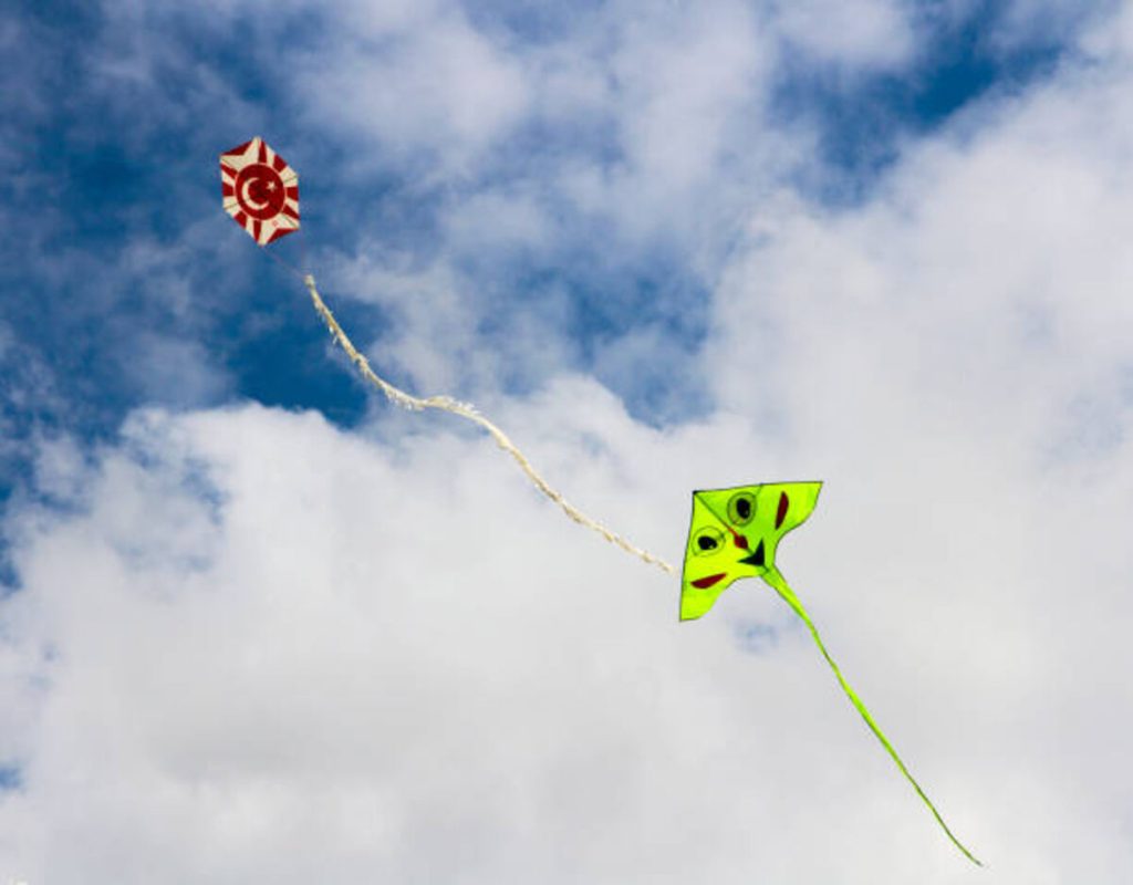 Little Kite - How the Little Kite Learned to Fly Questions and Answers