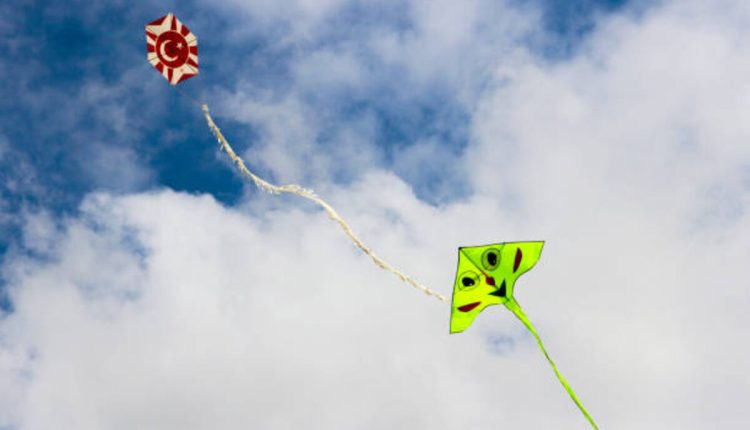 Little Kite - How the Little Kite Learned to Fly Questions and Answers